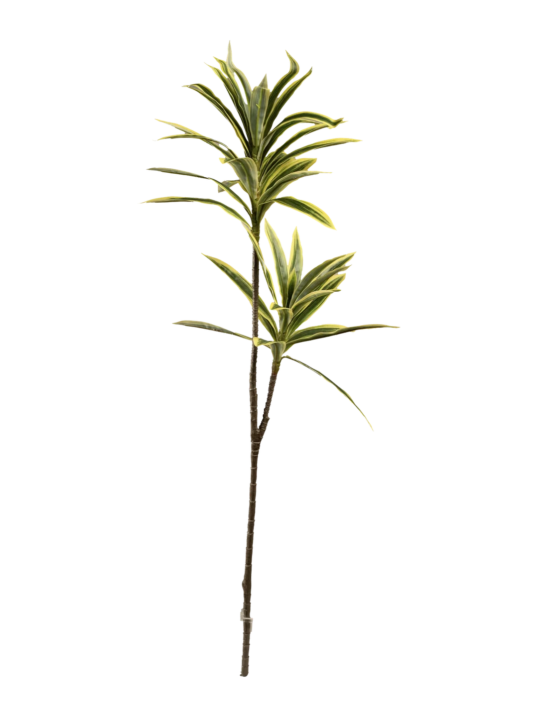 Dracaena Reflexa (Variegated Mist) — artificial foliage in green by VYNE