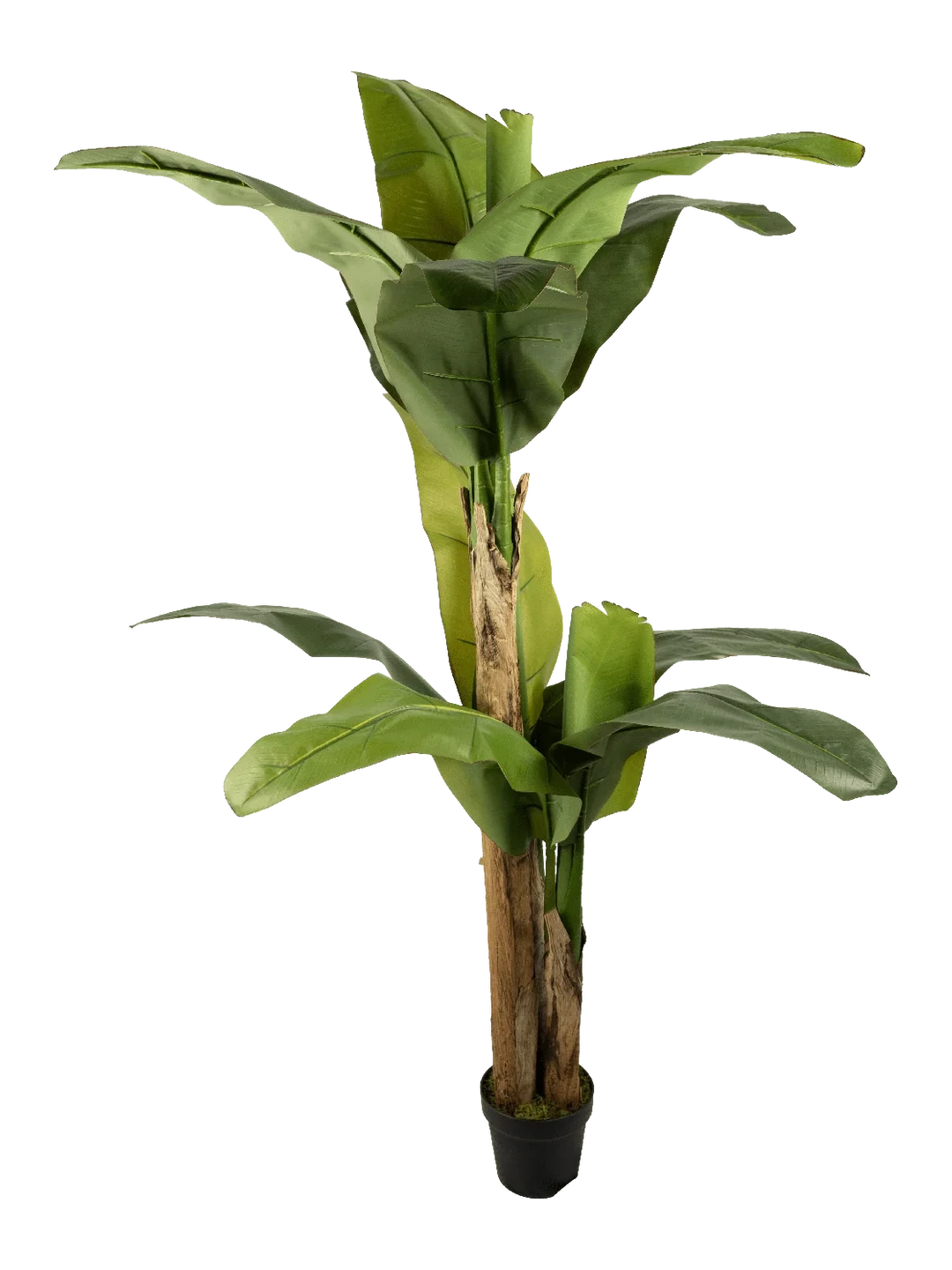 Banana Tree (190cm) — artificial plant in green by VYNE
