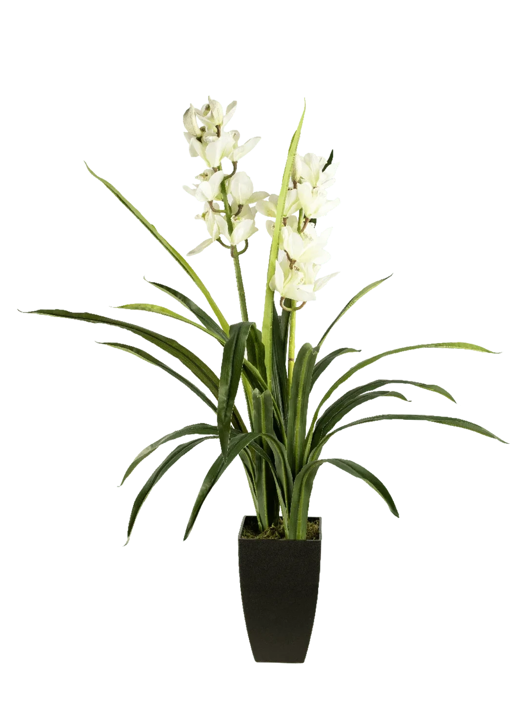 Cymbidium Orchid (Ivory Whisper) — artificial plant in white by VYNE