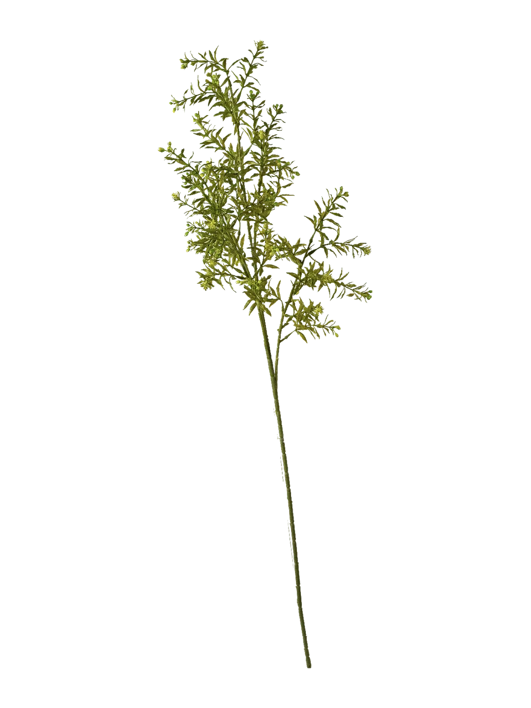 Asparagus Fern Spray (Fresh Spring Green) — artificial foliage in green by VYNE