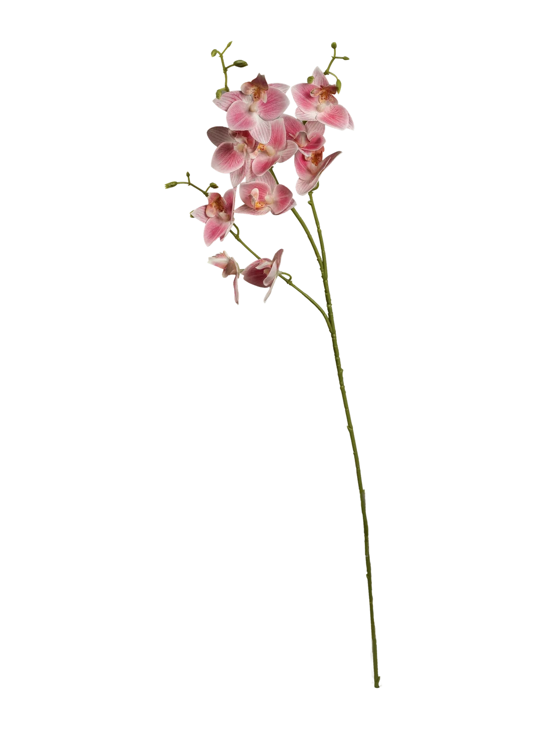 Orchid (Soft Blush Pink) — artificial flowers in pink by VYNE