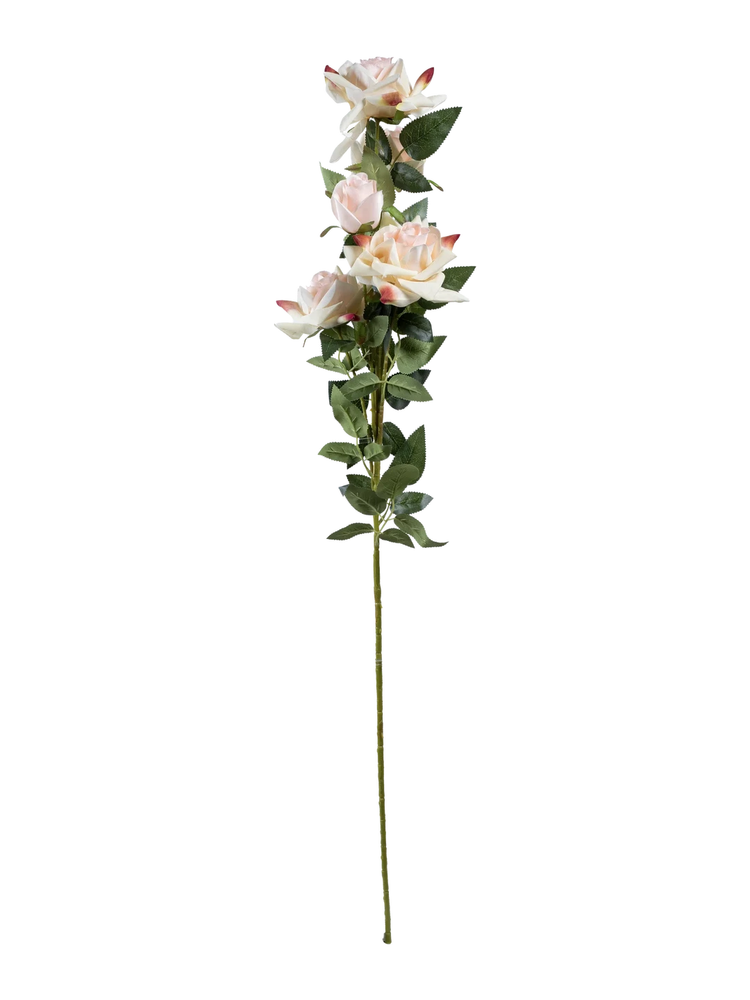 Garden Rose (Vanilla Blush) — artificial flowers in cream by VYNE