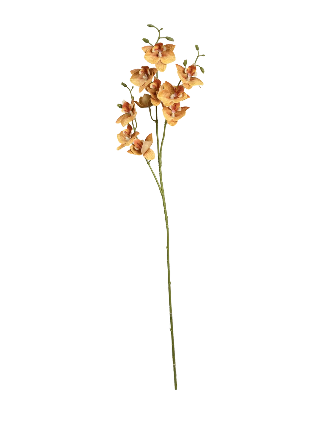 Orchid (Apricot Blush) — artificial flowers in peach by VYNE