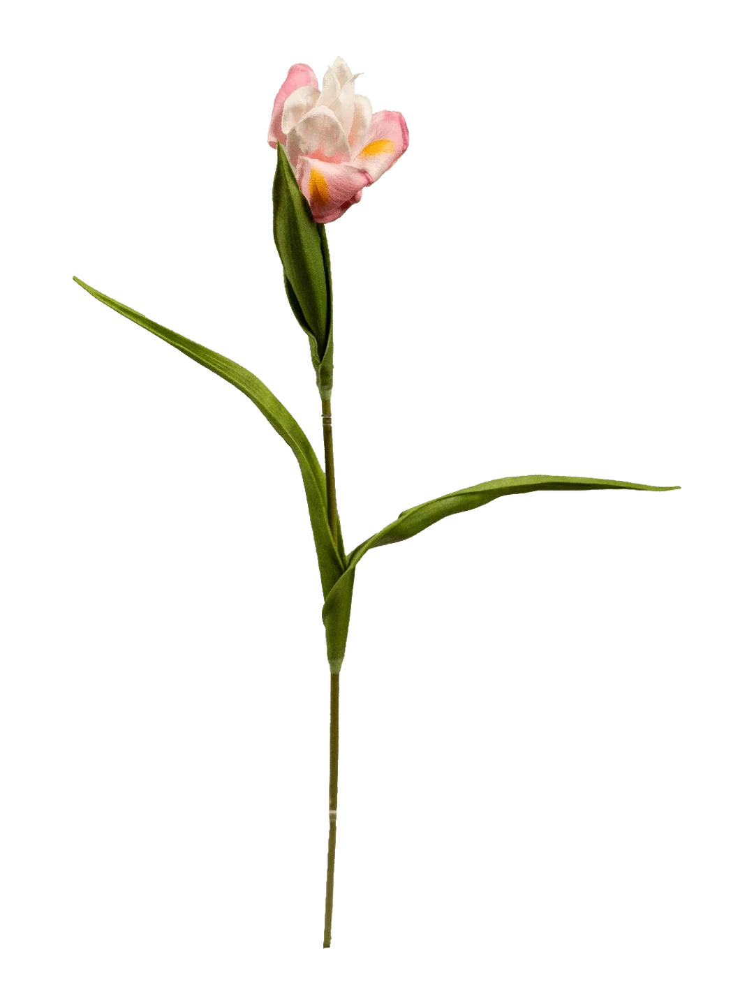 Iris (Blush Veil) — artificial flowers in pink by VYNE