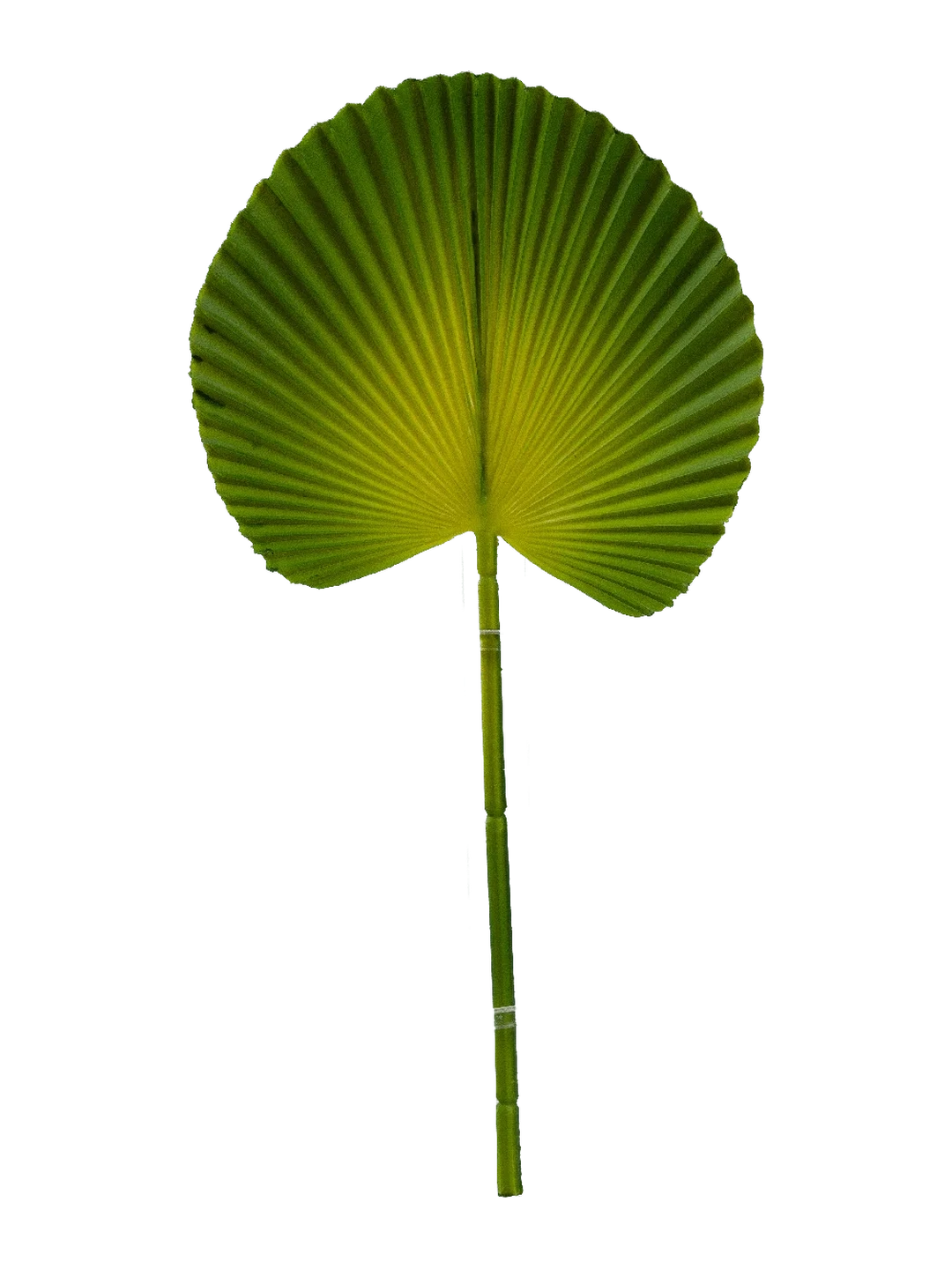 Licuala Palm Leaf (Citrus Chartreuse) — artificial foliage in lime by VYNE