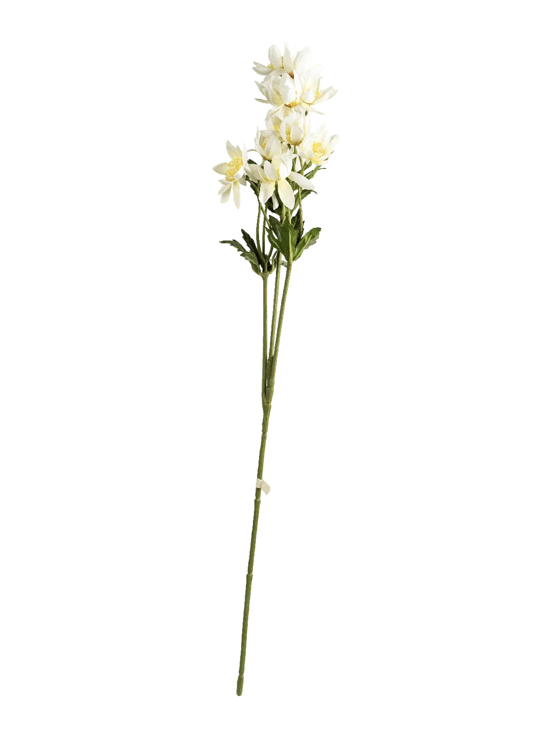 Balkan Anemone (Ivory Bloom) — artificial flowers in white by VYNE