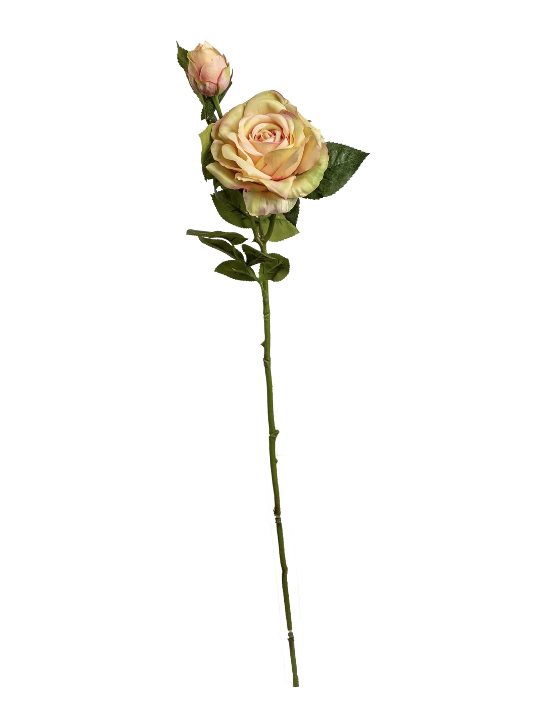 Rose (Petal Blush) — artificial flowers in pink by VYNE