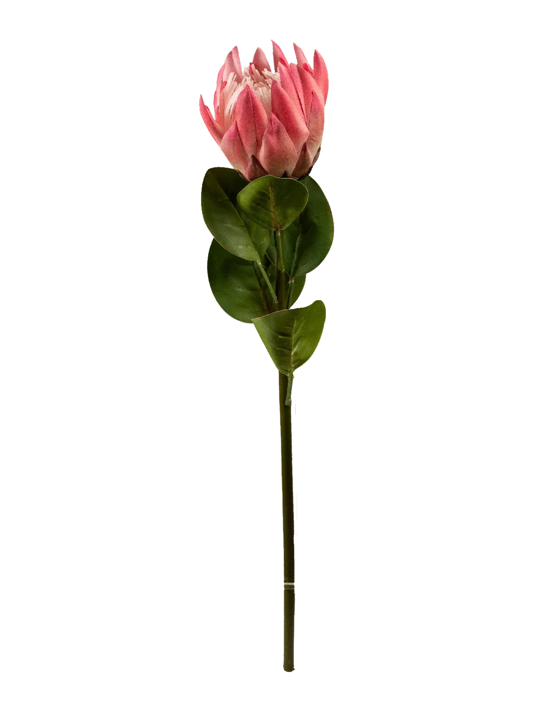 Protea (Smoky Plum) — artificial flowers in purple by VYNE