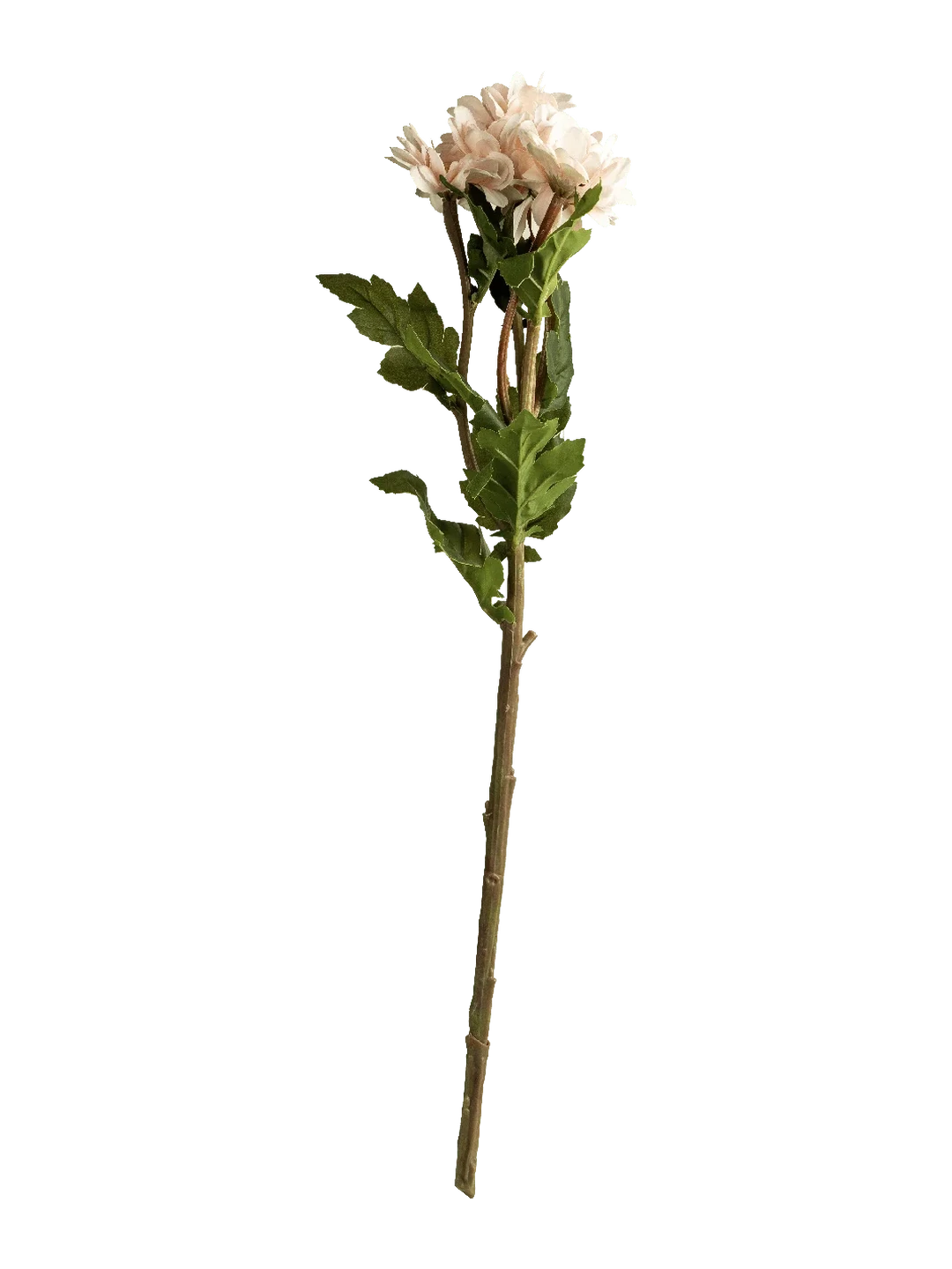 Chrysanthemum Spray (Blush White) — artificial flowers in white by VYNE