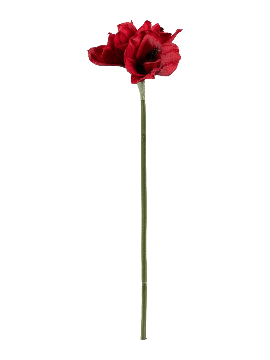 Amaryllis (Crimson Bloom) — artificial flowers in red by VYNE