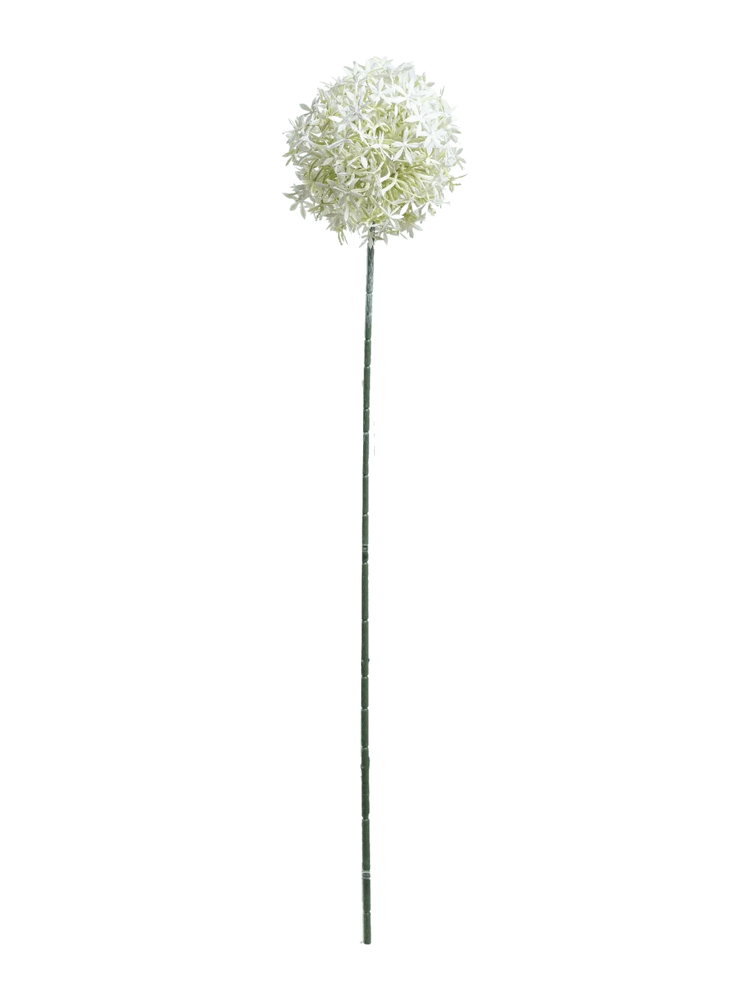 Allium (Winter White) — artificial flowers in white by VYNE