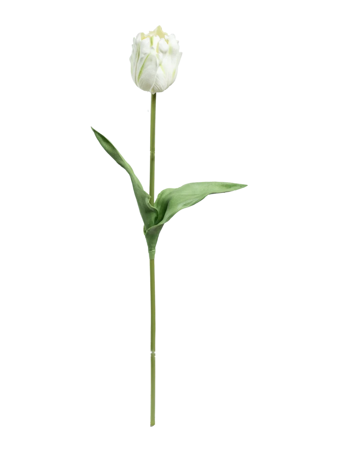 Tulip (Pistachio Cream) — artificial flowers in green by VYNE