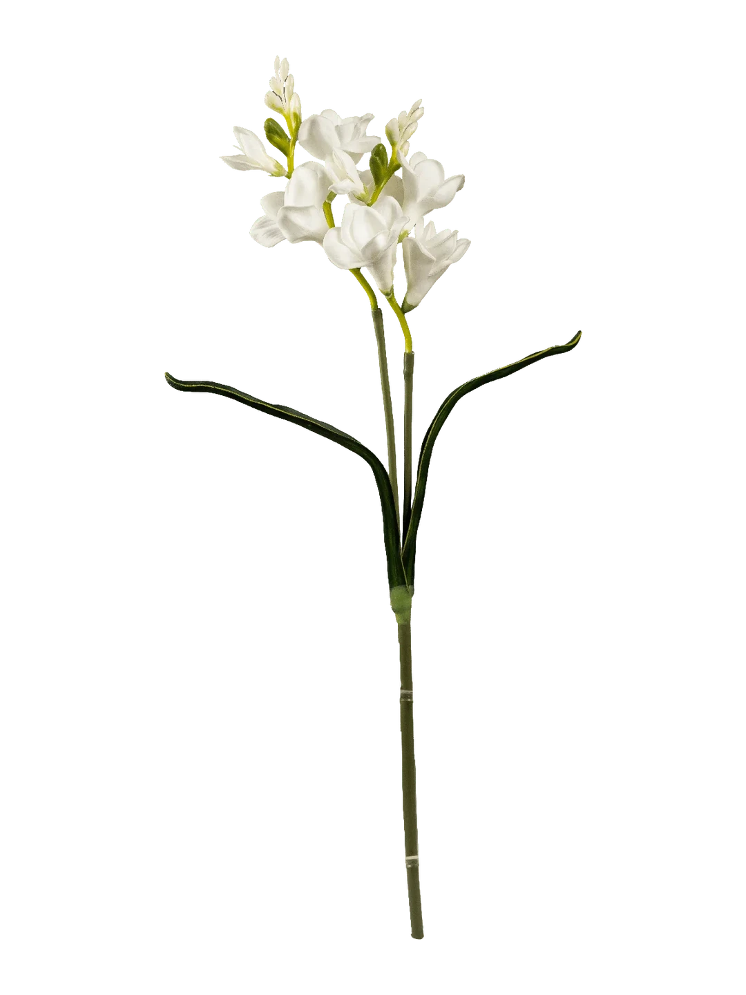 Freesia (Porcelain White) — artificial flowers in white by VYNE