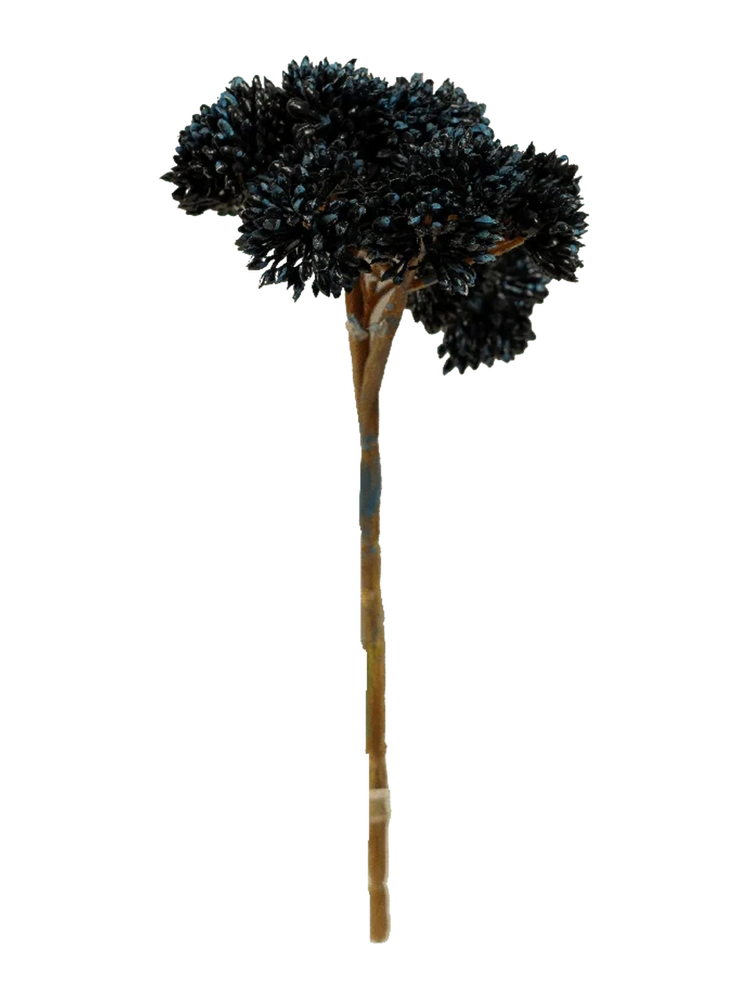 Crassula Falcata (Midnight Indigo) — artificial foliage in blue by VYNE