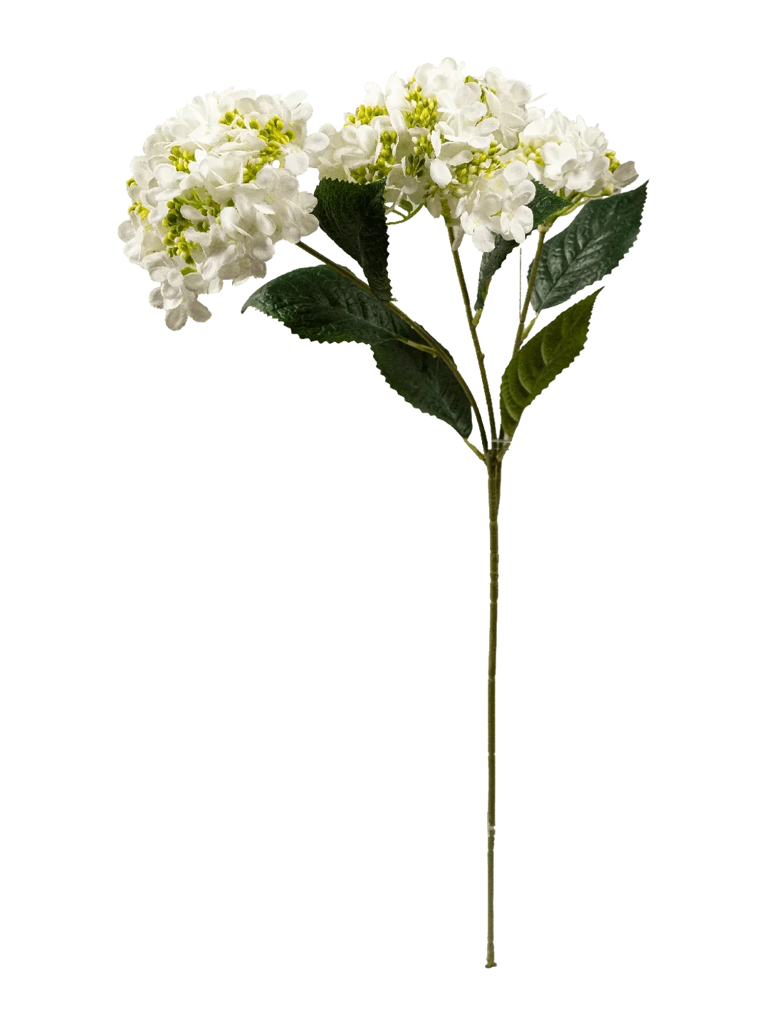 Hydrangea (Vanilla Cream) — artificial flowers in cream by VYNE