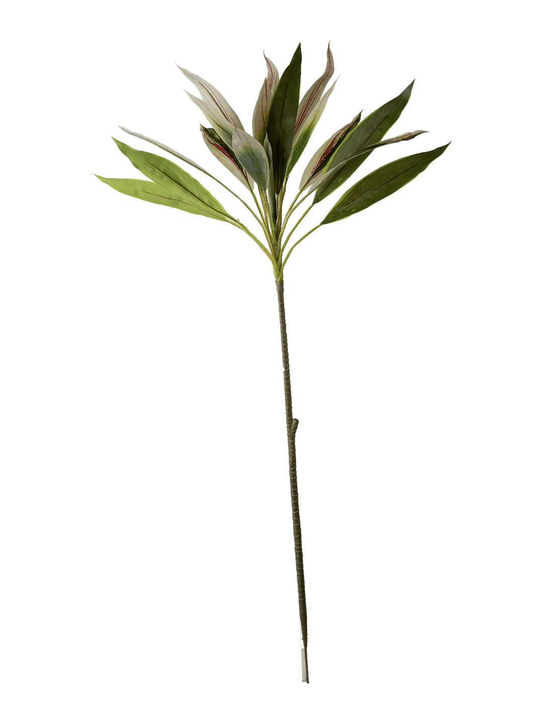 Cordyline (Ivory Pinstripe) — artificial foliage in white by VYNE