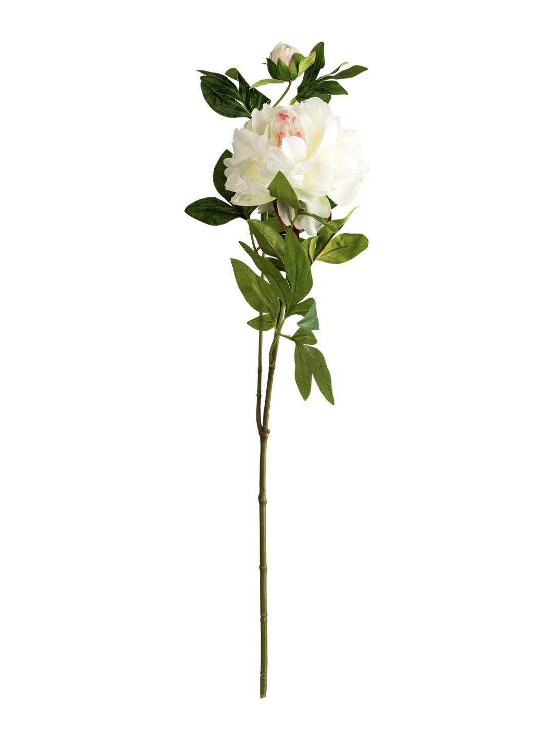 Peony (Blush Snow White) — artificial flowers in white by VYNE