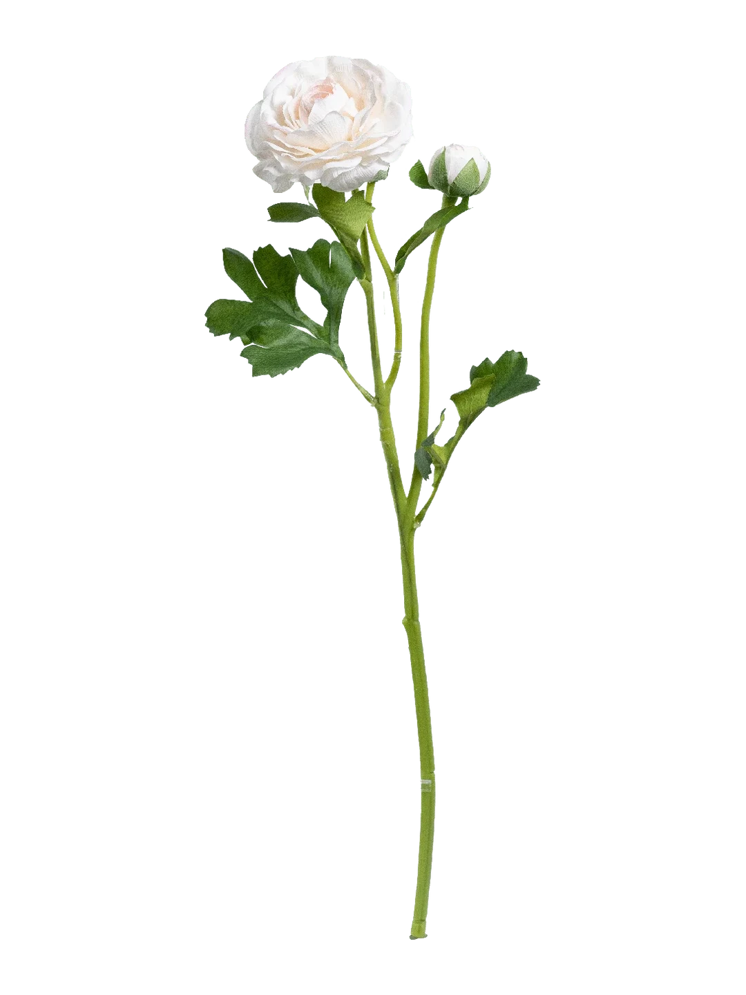Ranunculus (Ivory Blush) — artificial flowers in pink by VYNE