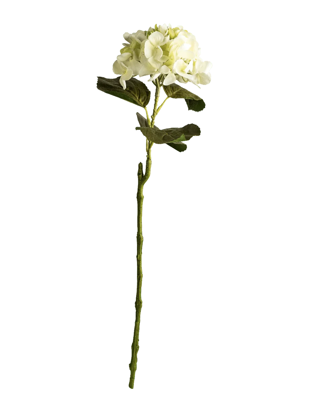 Hydrangea (Pure White) — artificial flowers in white by VYNE