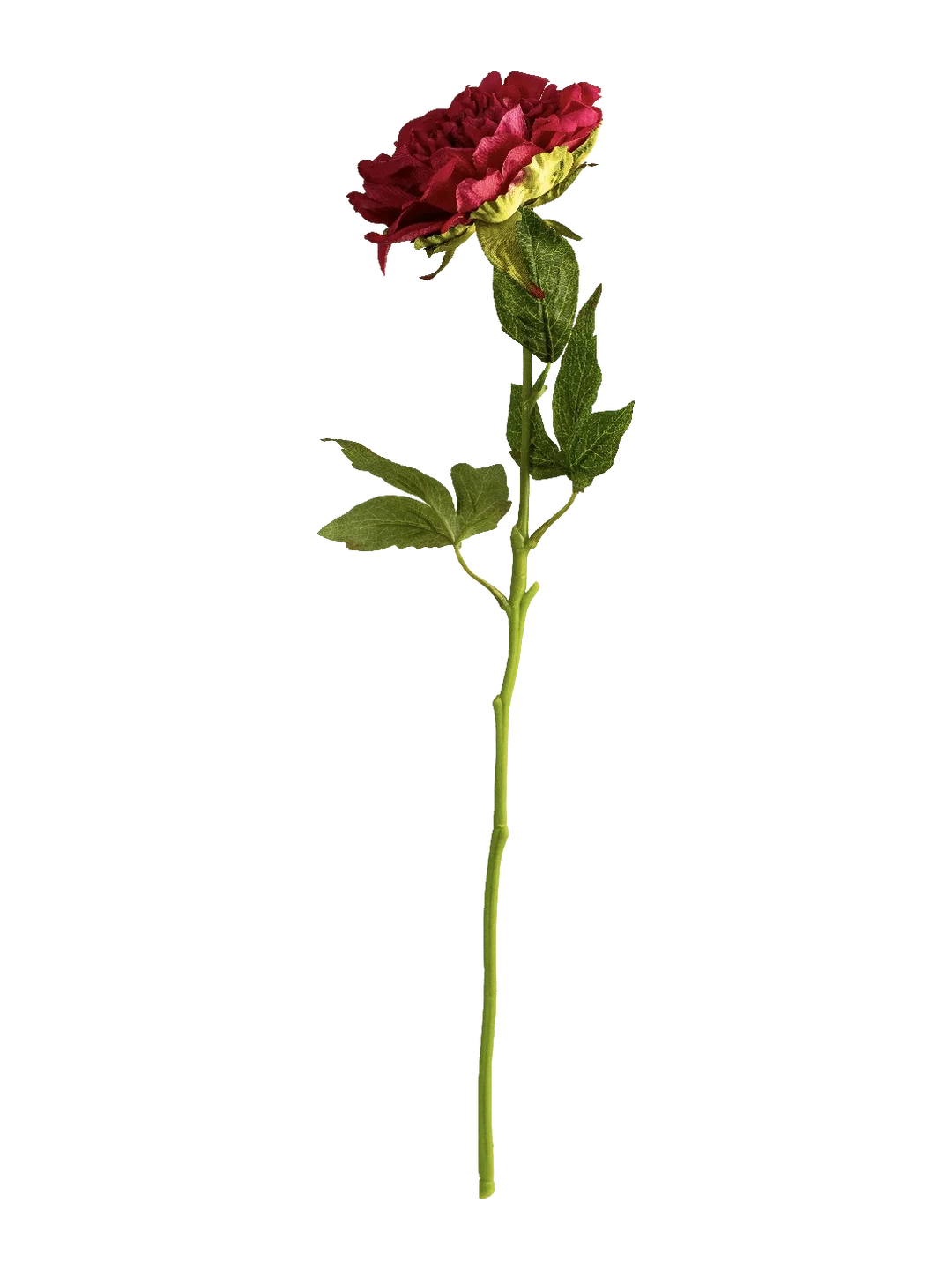 Peony (Crimson Pink) — artificial flowers in pink by VYNE