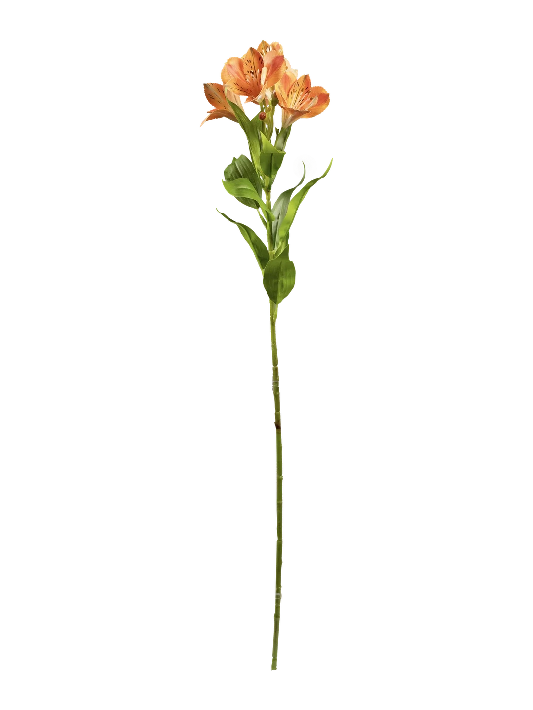 Alstroemeria Spray (Apricot Blush) — artificial flowers in peach by VYNE