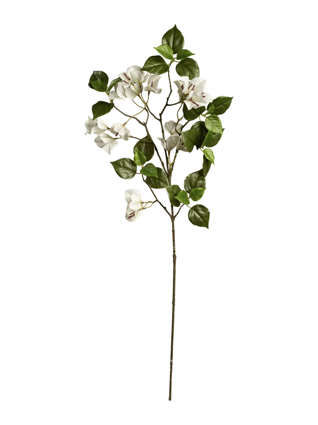 Bougainvillea (Pure Ivory) — artificial flowers in white by VYNE