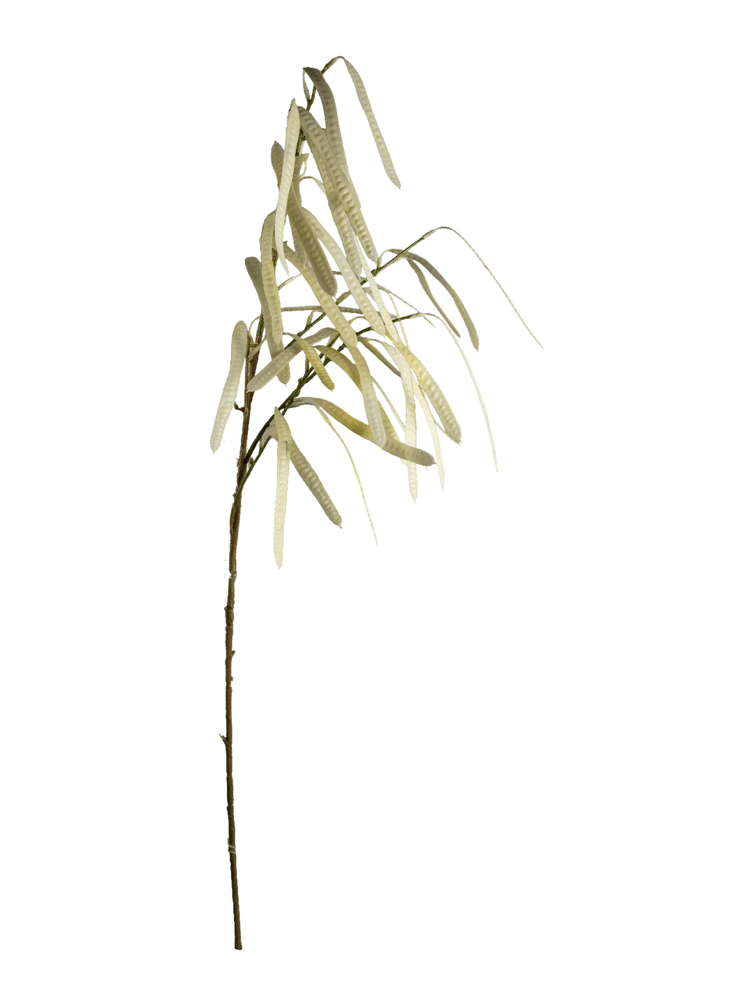 Bean Pod Spray (Ivory Dew) — artificial foliage in cream by VYNE
