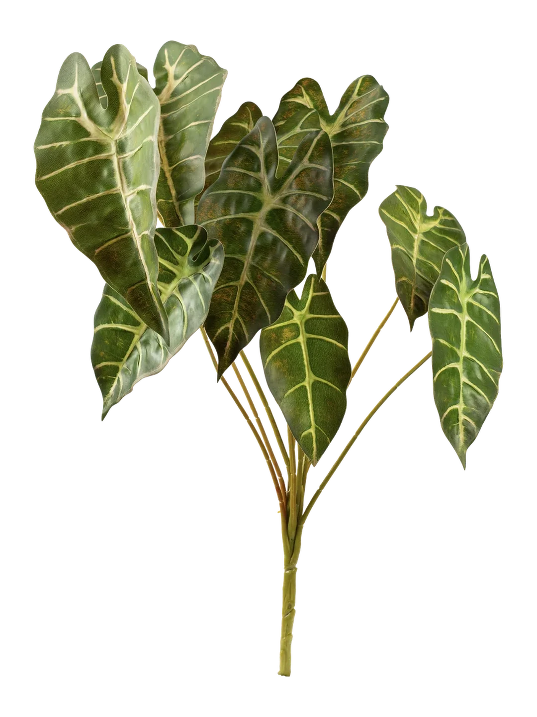 Alocasia (Lilac Frost) — artificial foliage in purple by VYNE