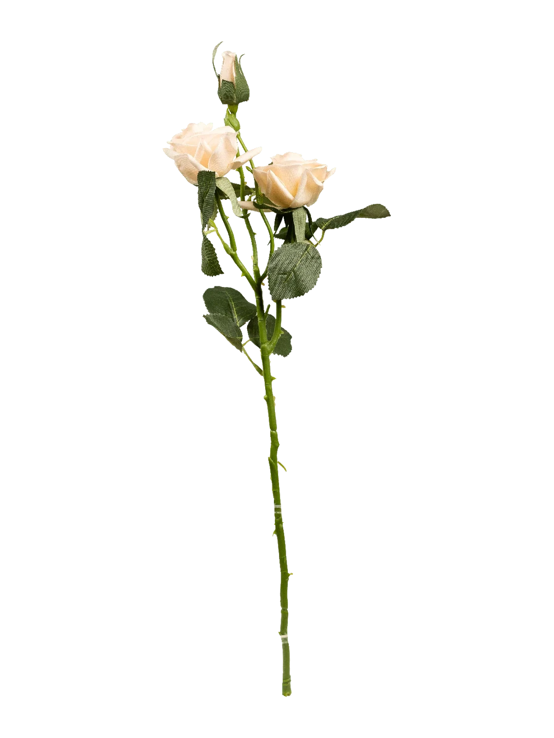 Rose (Ivory Cream) — artificial flowers in cream by VYNE