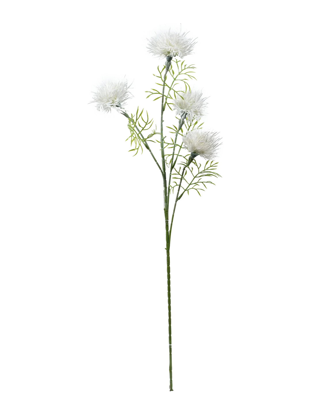 Echinops (Snow White) — artificial flowers in white by VYNE