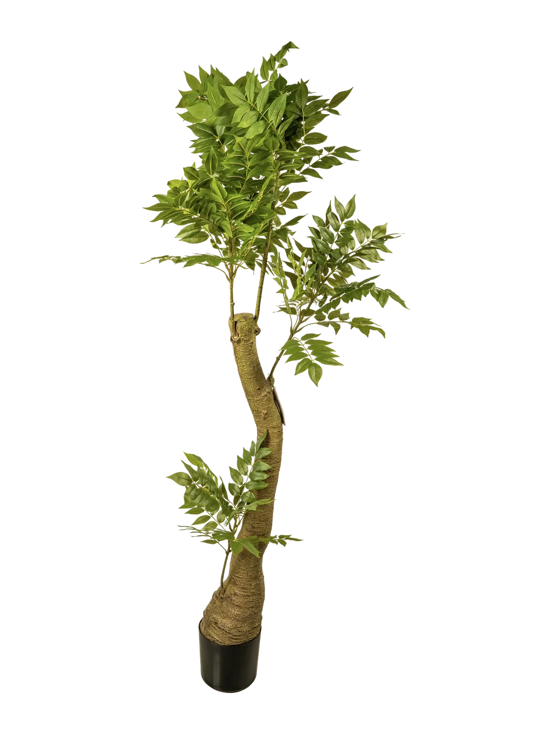 Ash Tree (180cm) — artificial plant in green by VYNE