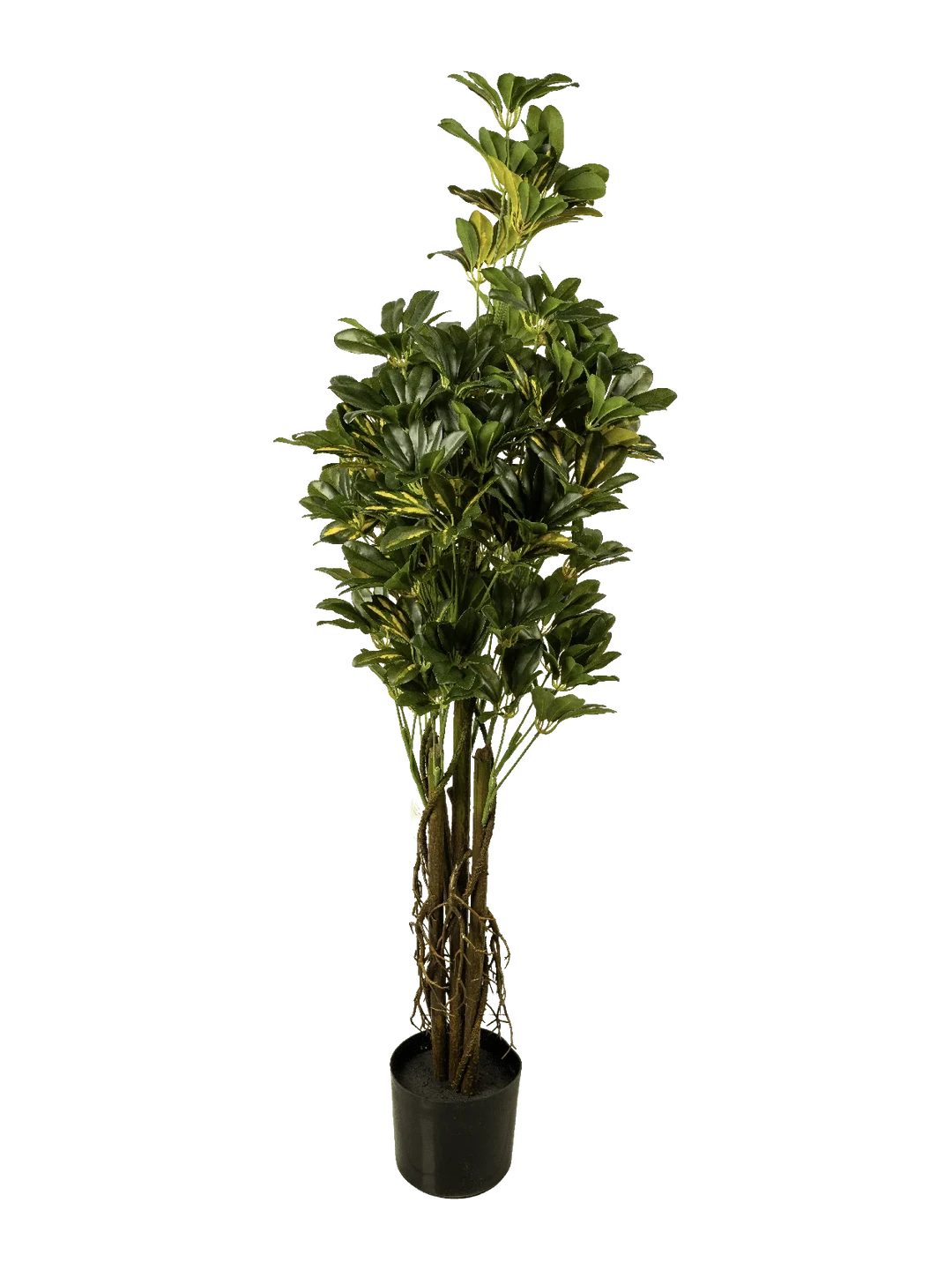 Umbrella Tree (150cm) — artificial plant in green by VYNE