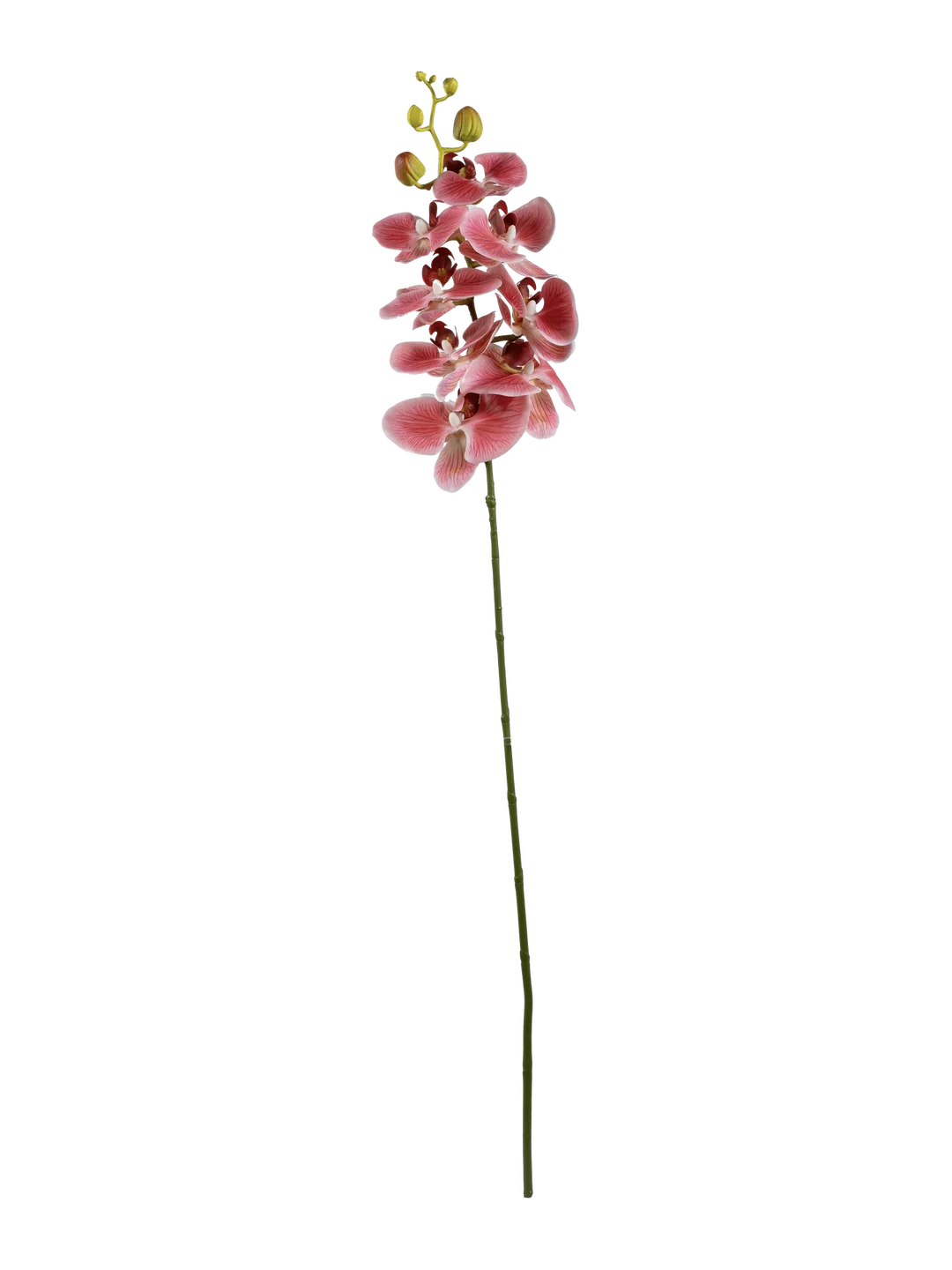 Phalaenopsis Orchid (Rose Petal) — artificial flowers in pink by VYNE