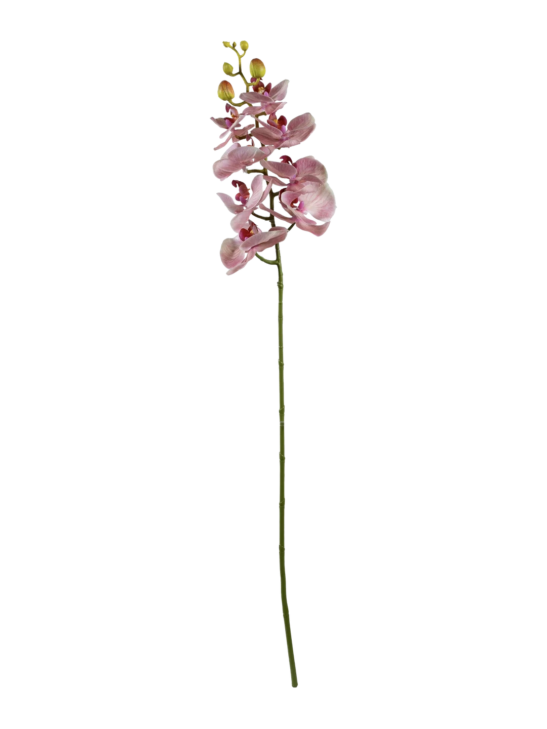 Phalaenopsis Orchid (Soft Petal Pink) — artificial flowers in pink by VYNE