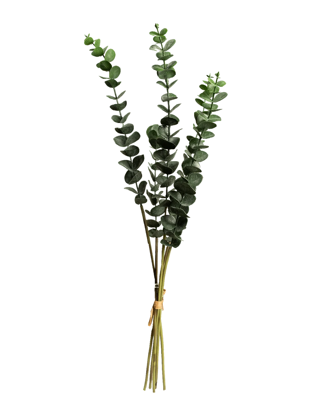 Eucalyptus Spray (Deep Woodland) — artificial foliage in green by VYNE