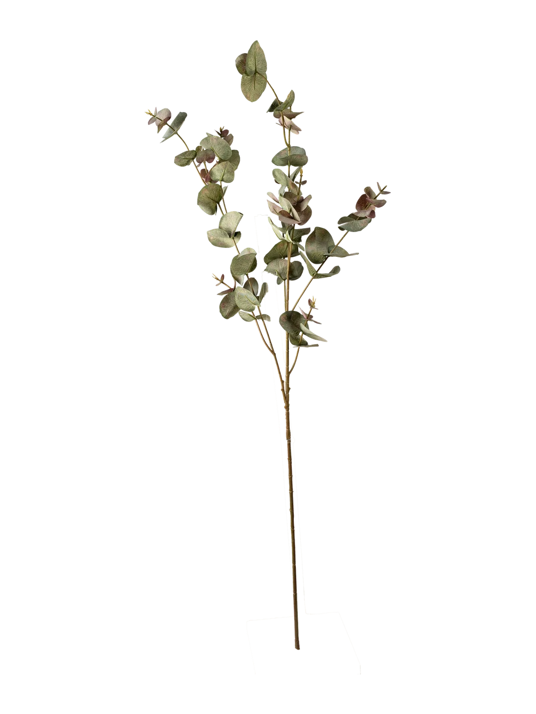 Eucalyptus Spray (Blushed Sage) — artificial foliage in pink by VYNE