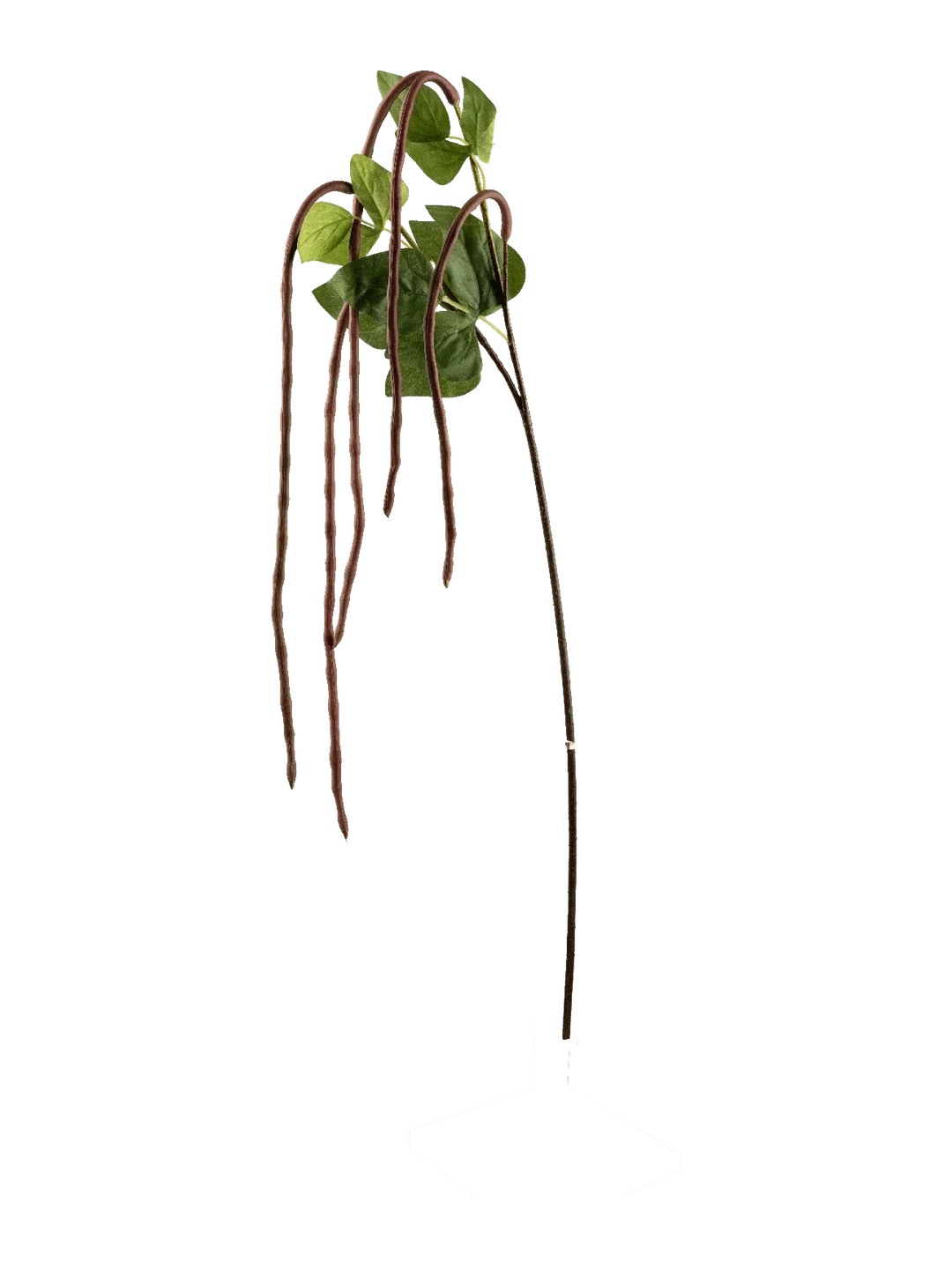 Long Bean Stem (Mulberry Stem) — artificial foliage in purple by VYNE