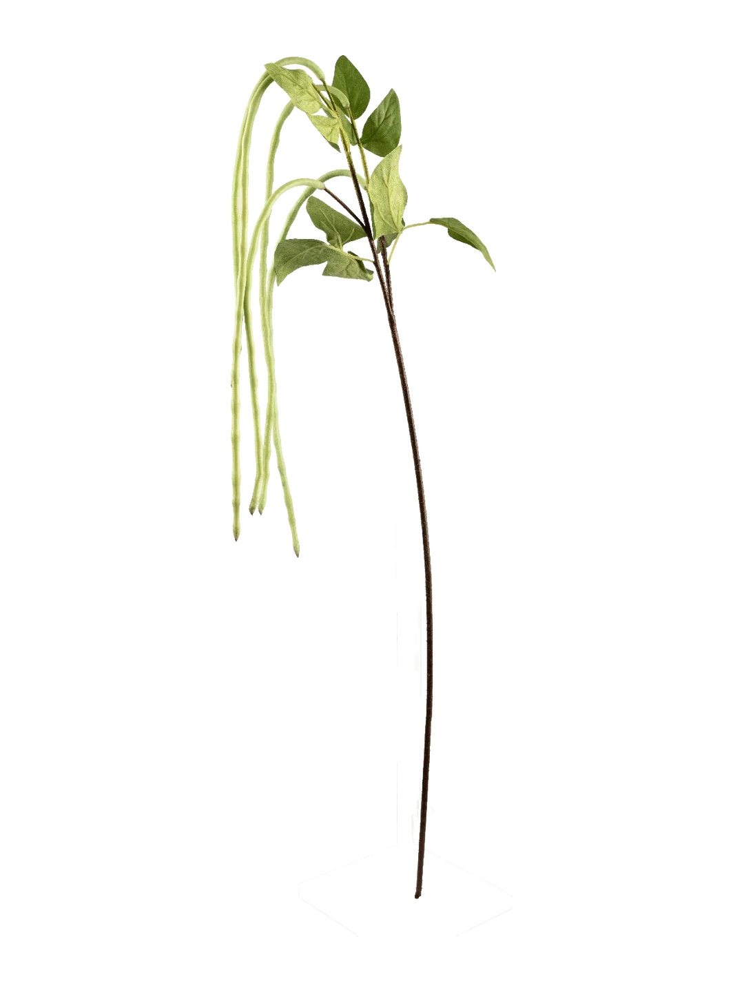 Long Bean Stem (Fresh Green) — artificial foliage in green by VYNE