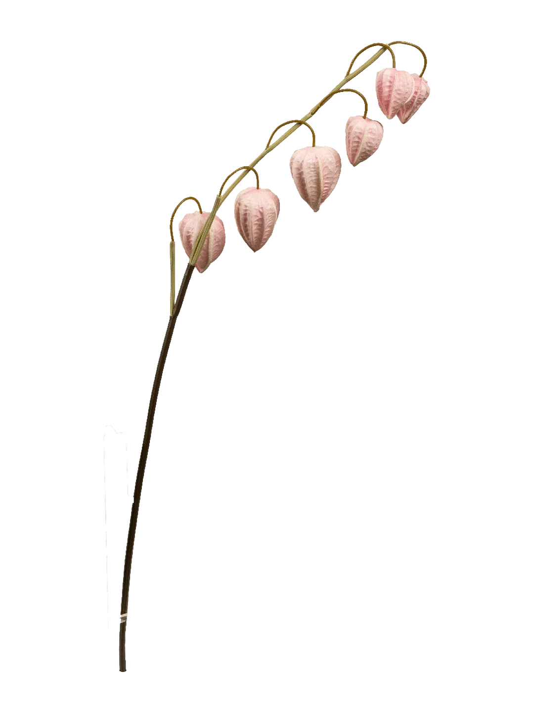 Chinese Lantern (Powder Blush) — artificial flowers in pink by VYNE