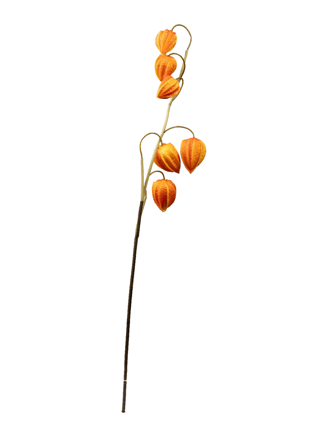 Chinese Lantern Spray (Sunset Mandarin) — artificial flowers in orange by VYNE