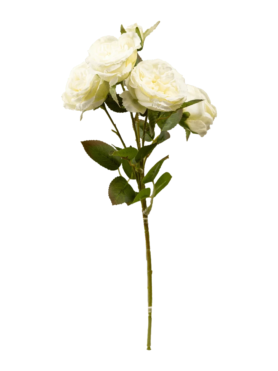 Garden Rose (Ivory Silk) — artificial flowers in cream by VYNE