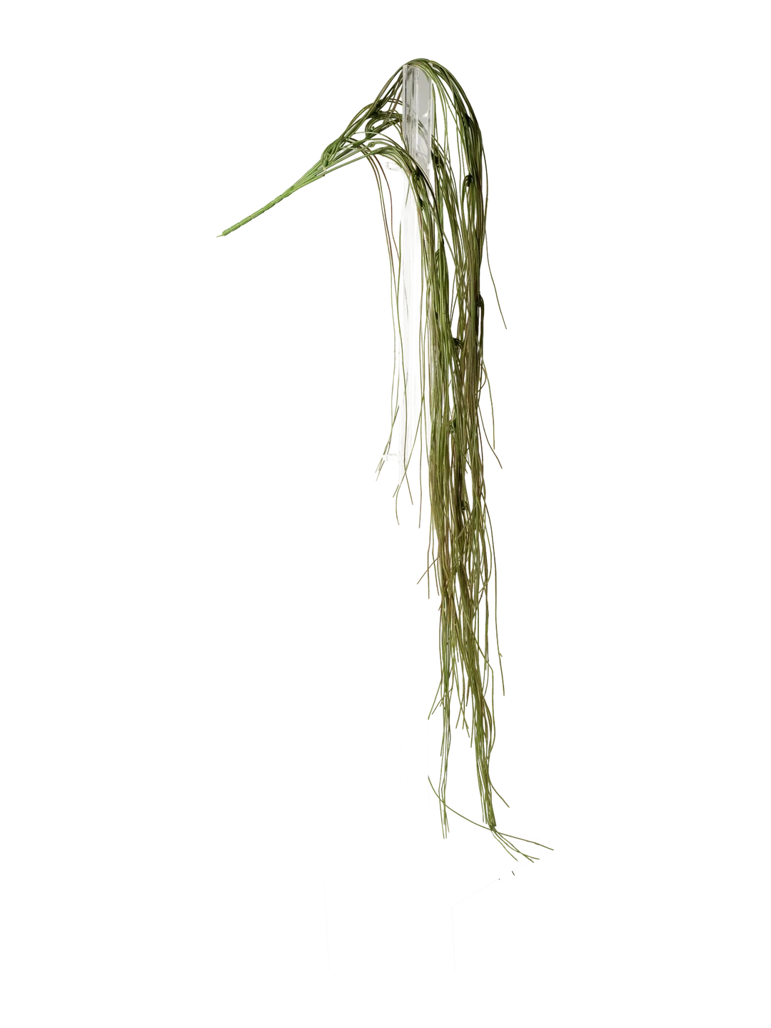 Bear Grass (Weathered Olive) — artificial foliage in green by VYNE