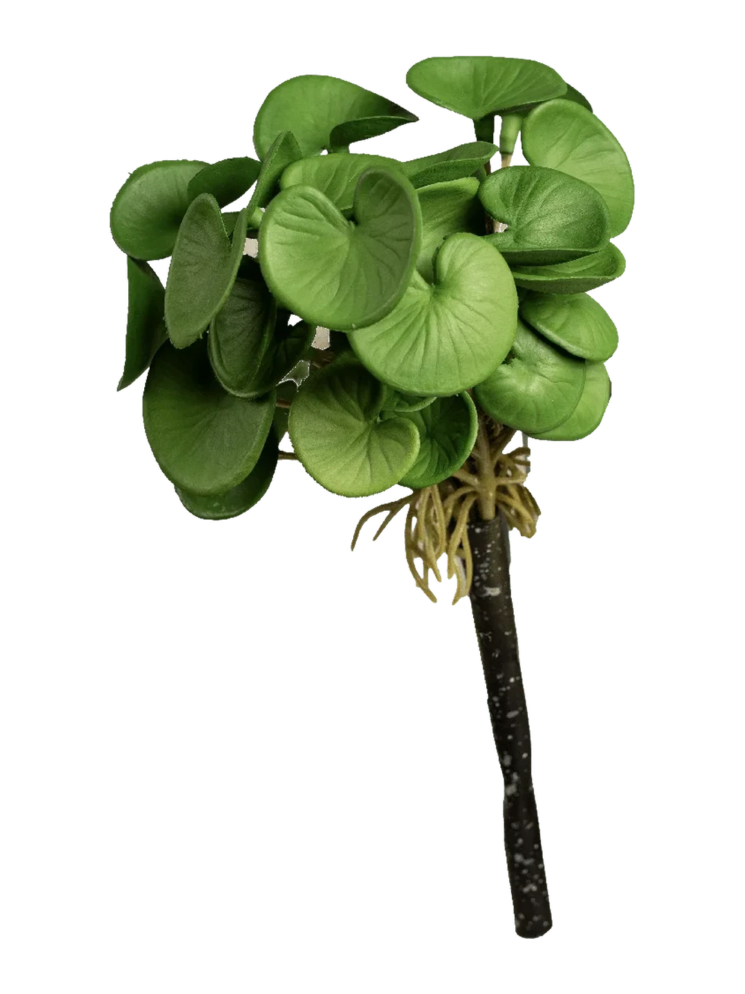 Pilea Peperomioides (Fresh Jade) — artificial foliage in green by VYNE