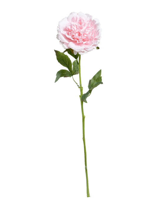 Peony (Soft Petal Pink) — artificial flowers in pink by VYNE