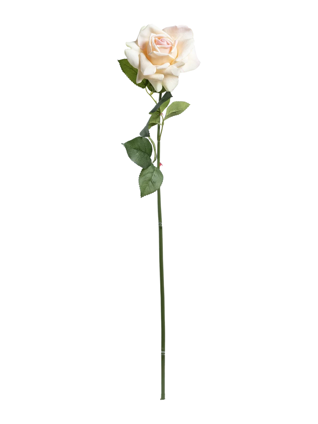 Rose (Classic Cream) — artificial flowers in cream by VYNE