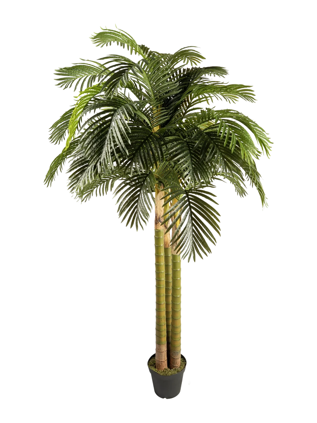 Areca Palm (250cm) — artificial plant in green by VYNE