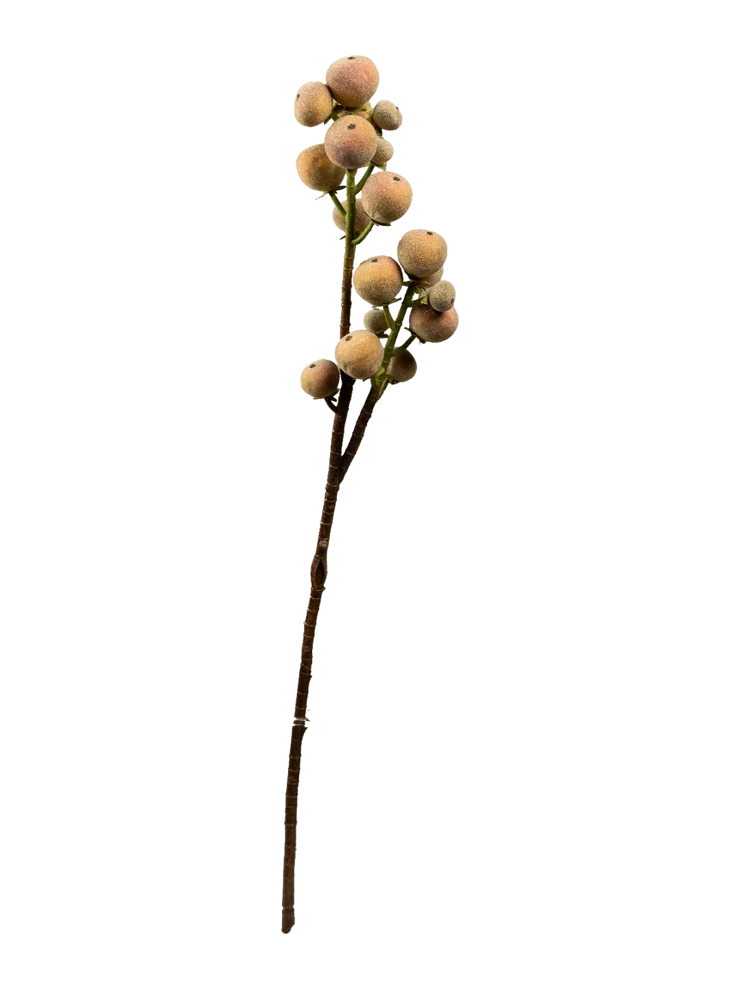 Peach Branch (Velvet Apricot) — artificial foliage in peach by VYNE