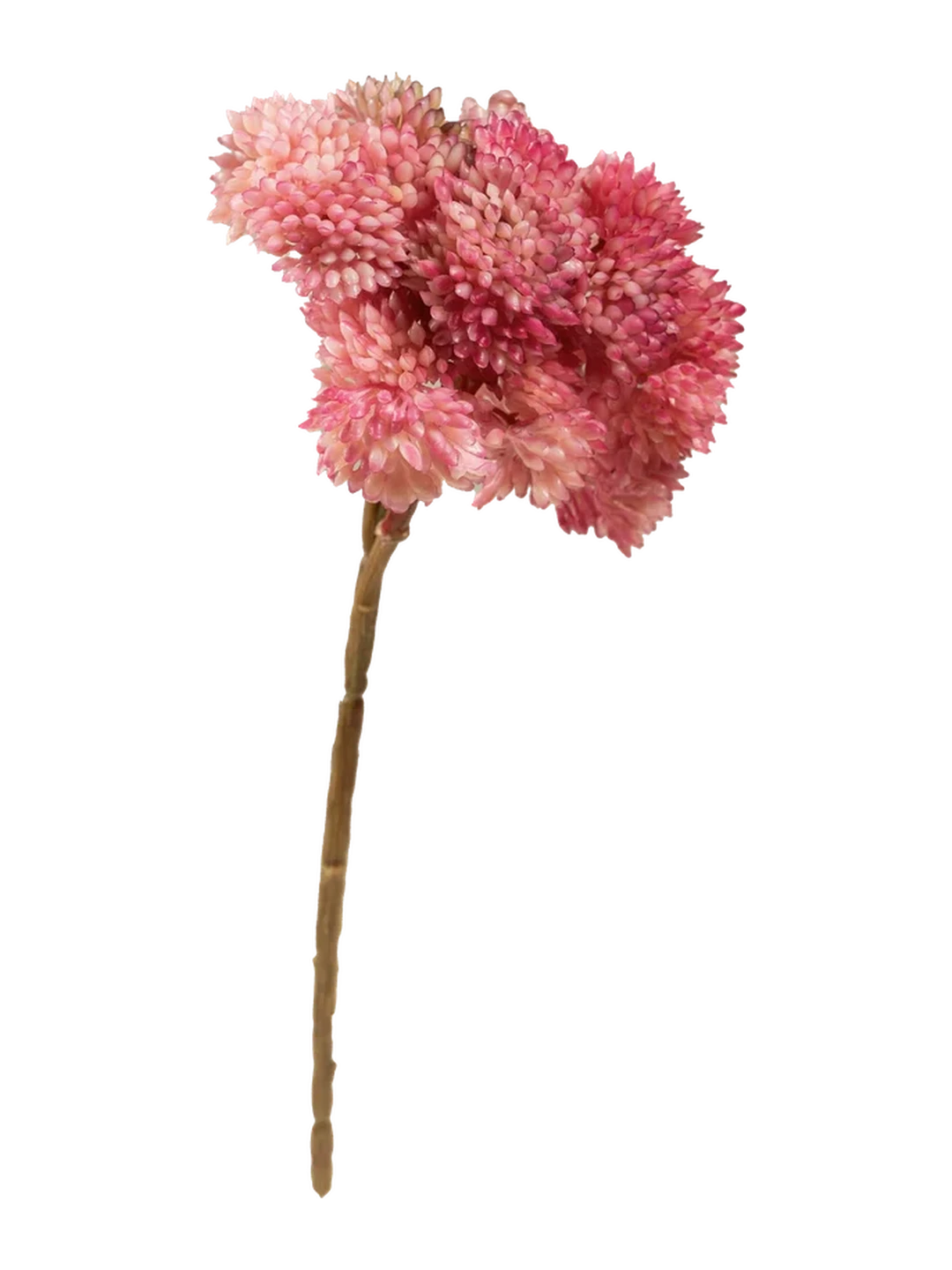 Crassula Falcata (Rose Bloom) — artificial foliage in pink by VYNE