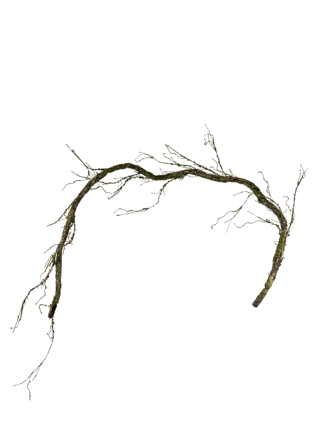 Woodland Mossy Branch (Forest Undergrowth) — artificial foliage in green by VYNE