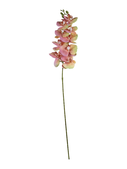 Orchid (Blush Pearl White) — artificial flowers in pink by VYNE
